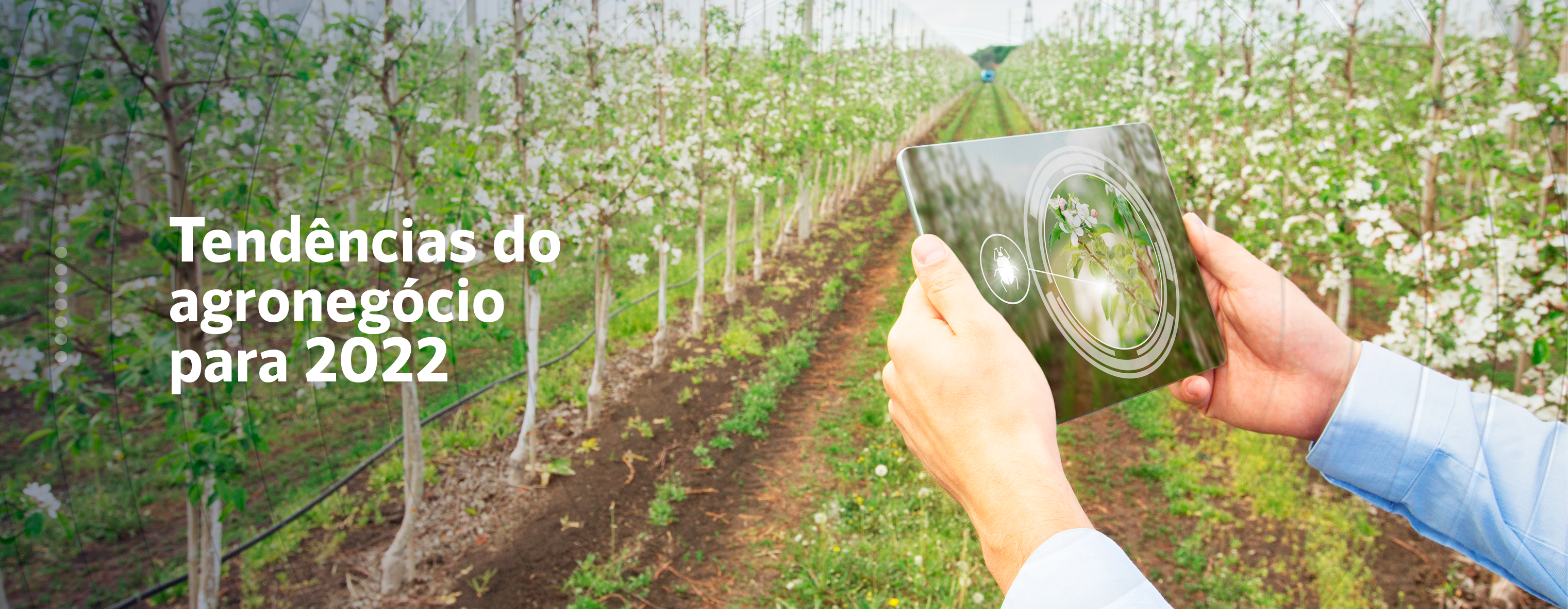 Tendências do agronegócio para 2022